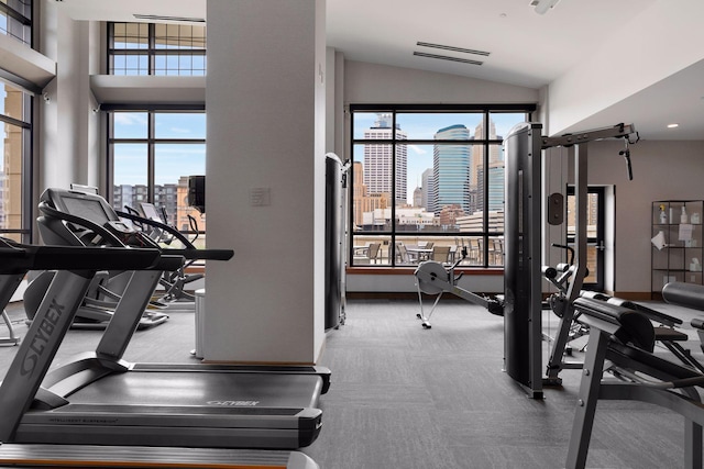 workout area featuring lofted ceiling