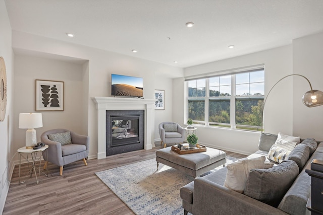 living room featuring light hardwood / wood-style floors