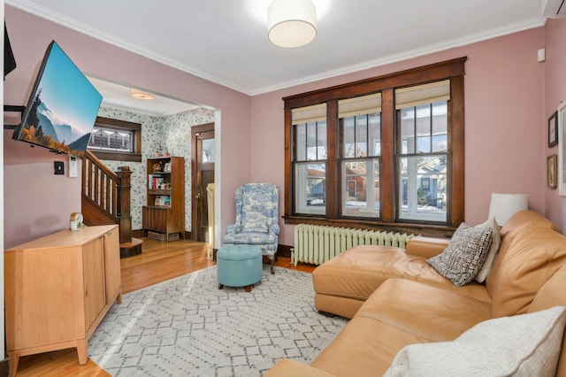 living room featuring ornamental molding, radiator heating unit, and light hardwood / wood-style floors