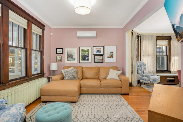 living room with radiator, a wall unit AC, a wealth of natural light, ornamental molding, and light hardwood / wood-style floors