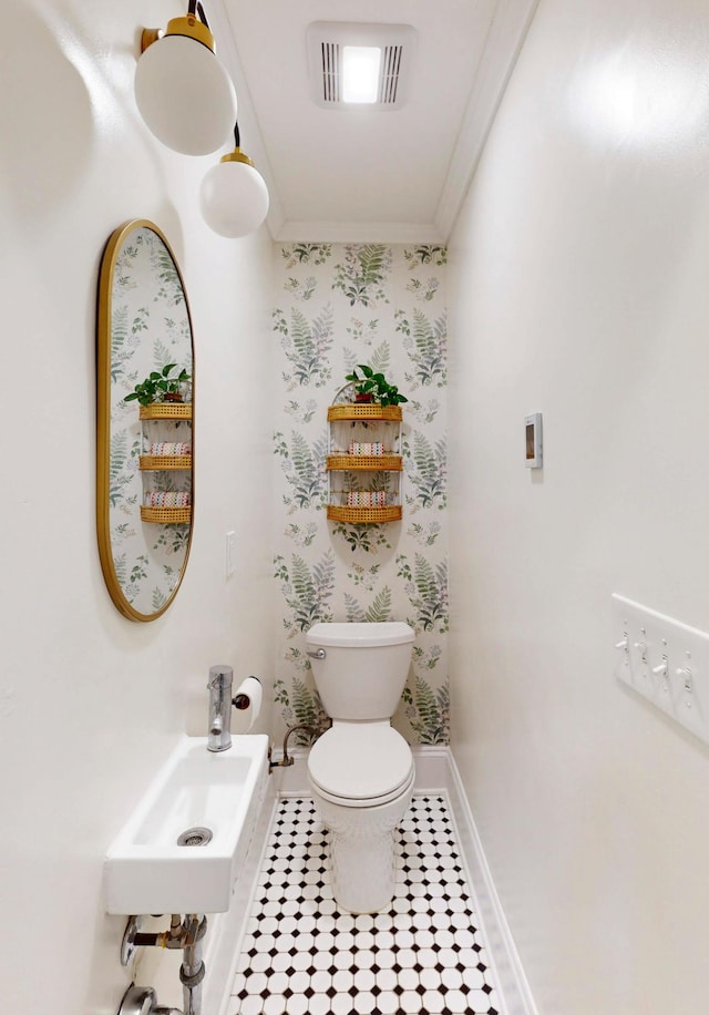 bathroom with sink, ornamental molding, and toilet