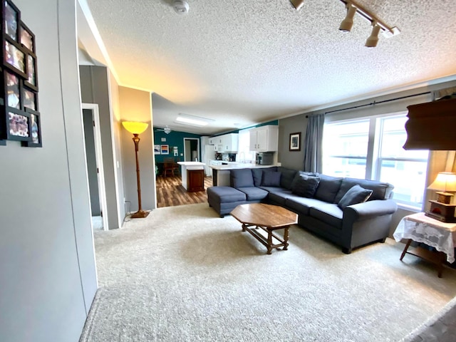 living room featuring track lighting, light colored carpet, and a textured ceiling