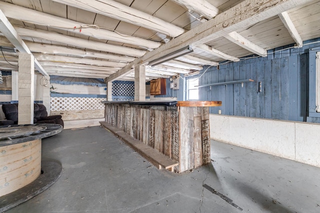 basement with wooden walls