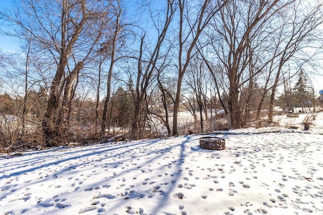 view of yard covered in snow