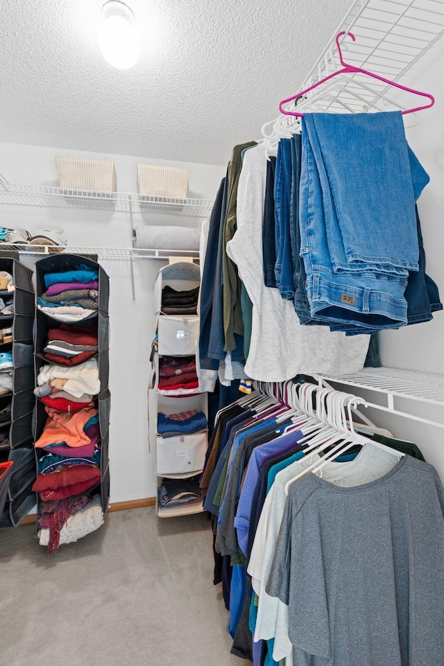 walk in closet featuring carpet flooring