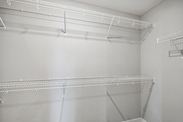 13617 Aulden Ave, Rosemount, MN 55068 - view of spacious closet