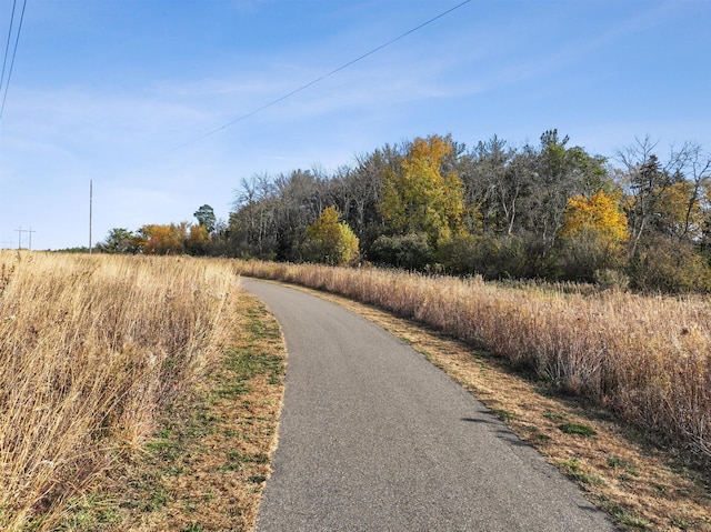 13617 Aulden Ave, Rosemount, MN 55068 - view of street