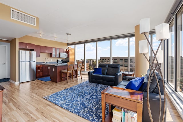 living room featuring track lighting, floor to ceiling windows, sink, and light hardwood / wood-style flooring