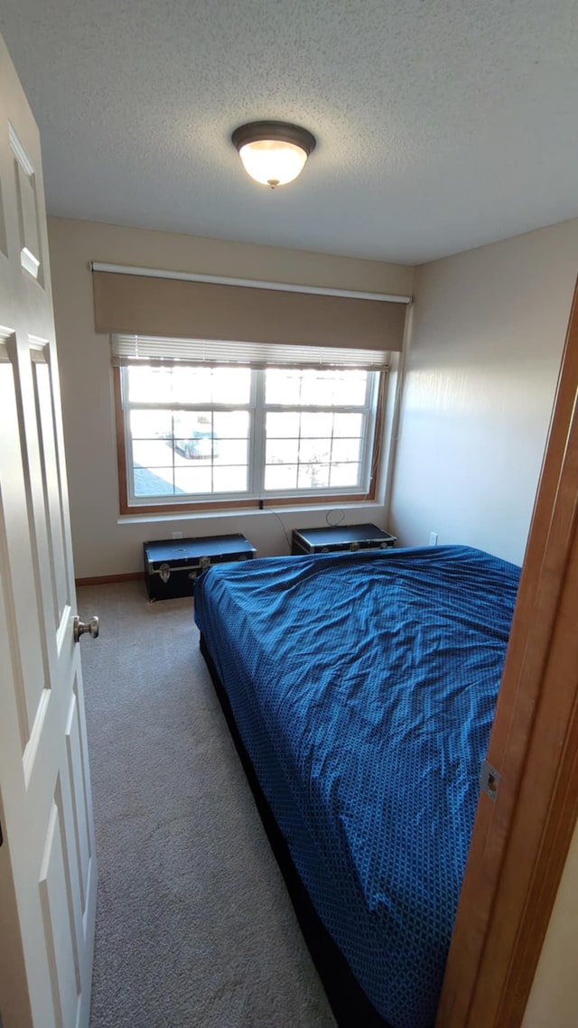 bedroom with multiple windows, carpet flooring, a textured ceiling, and baseboards
