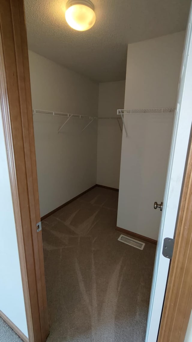 4970 149th St N Unit 3, Hugo, MN 55038 - spacious closet with carpet floors