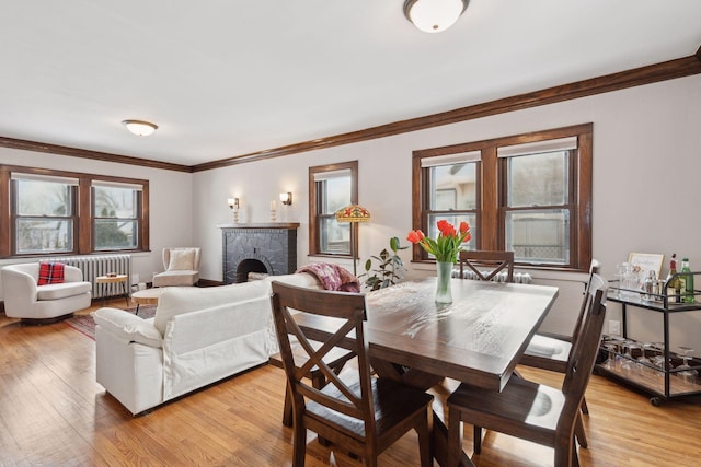 dining space with crown molding, radiator, a fireplace, and light hardwood / wood-style flooring