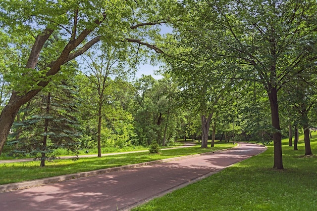 view of property's community with a lawn