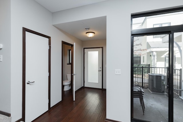 entryway featuring dark wood-type flooring