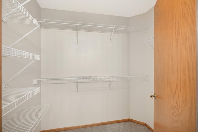 walk in closet featuring carpet