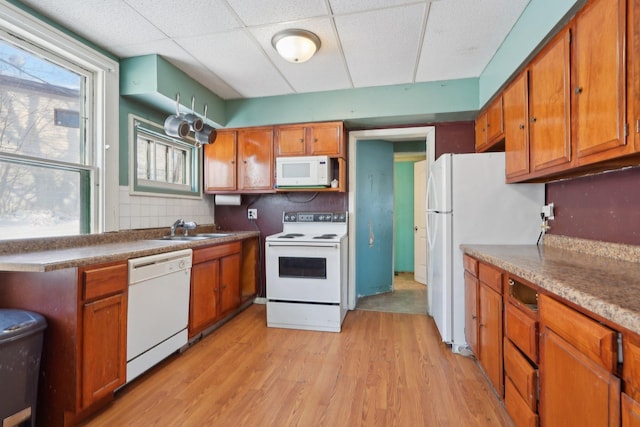 kitchen with backsplash, brown cabinetry, a sink, light wood-type flooring, and white appliances