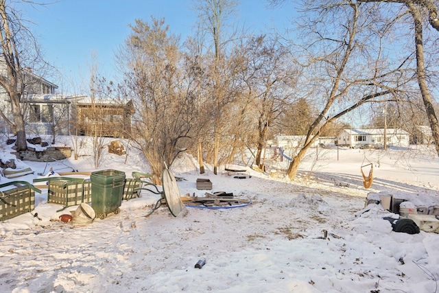 view of yard covered in snow