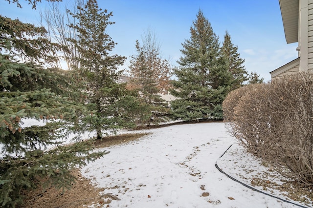 view of yard layered in snow