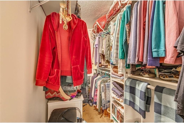 spacious closet with carpet flooring