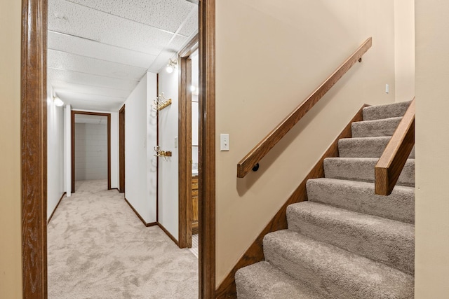 staircase featuring carpet floors