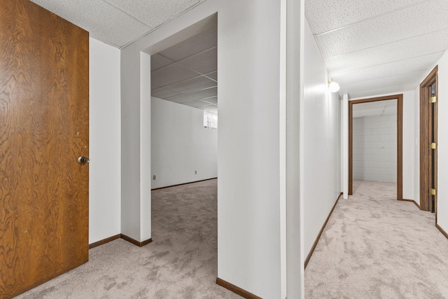 corridor featuring a drop ceiling and light colored carpet