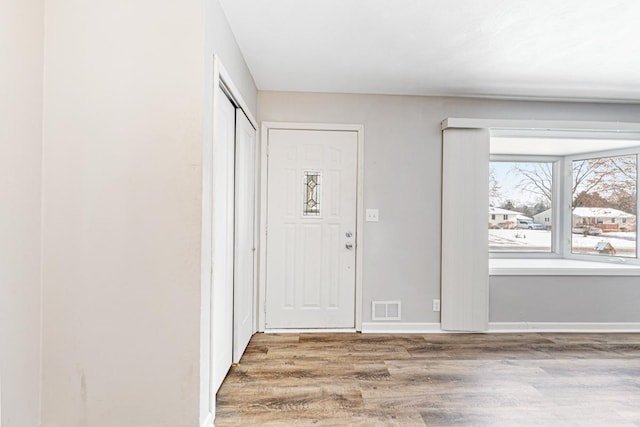 foyer with wood-type flooring