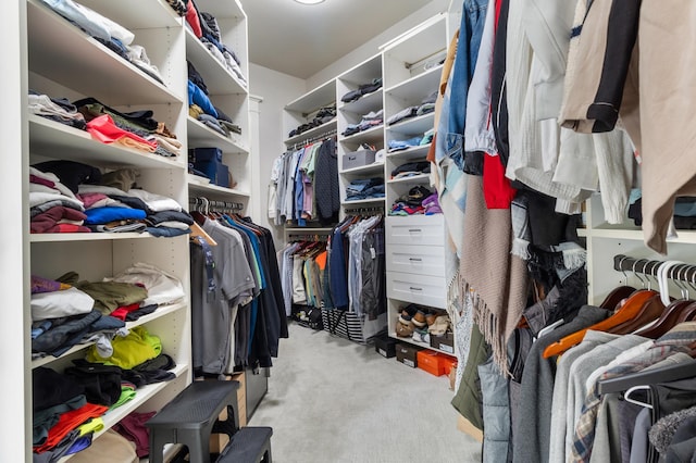 spacious closet with light colored carpet