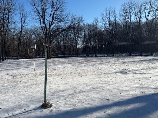 view of yard layered in snow