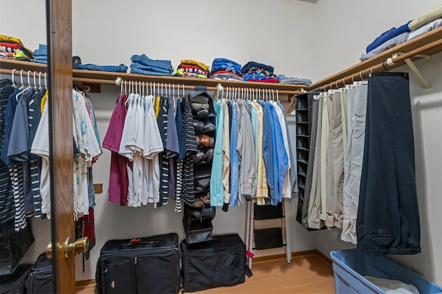 walk in closet with wood-type flooring