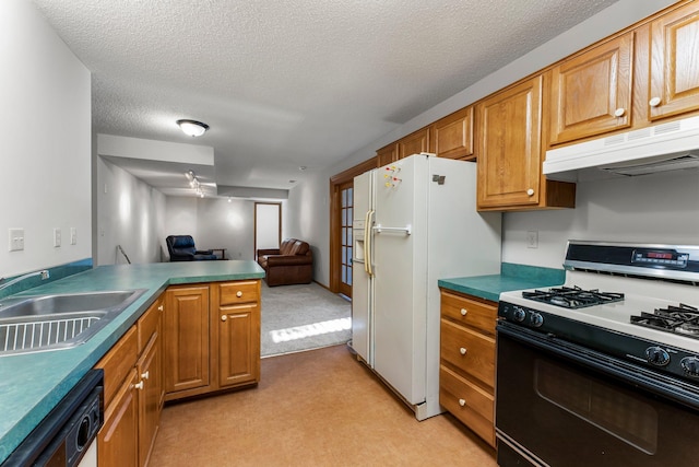 kitchen featuring sink, light carpet, a textured ceiling, and white appliances