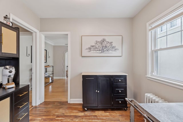 bedroom with hardwood / wood-style floors and radiator heating unit