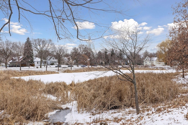 view of yard layered in snow