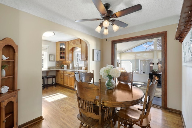 dining room featuring light wood finished floors, plenty of natural light, and a ceiling fan