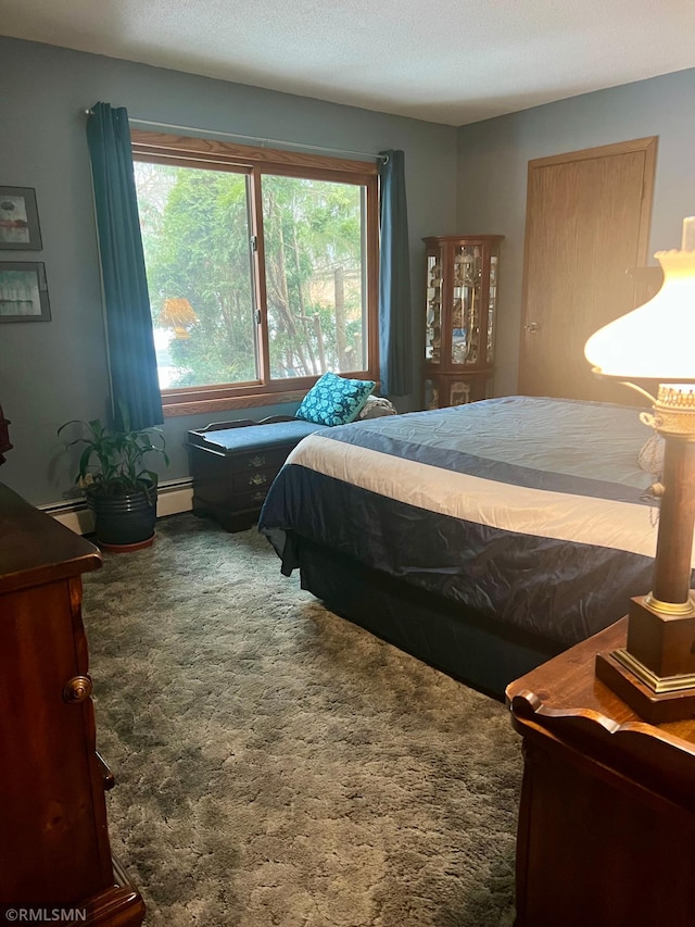 bedroom featuring a baseboard radiator and multiple windows