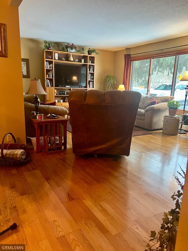 living room featuring hardwood / wood-style flooring and a textured ceiling