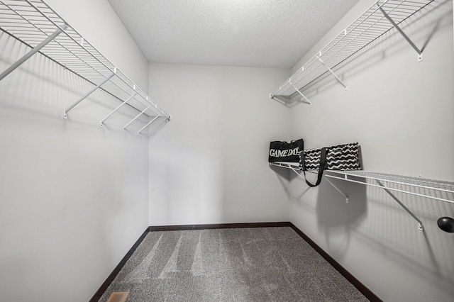 spacious closet with carpet flooring