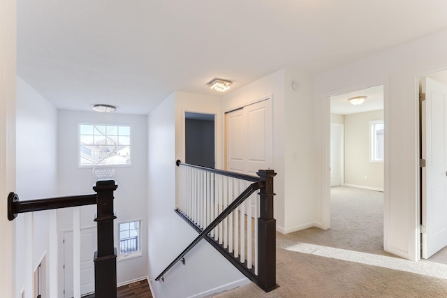 interior space with carpet and baseboards