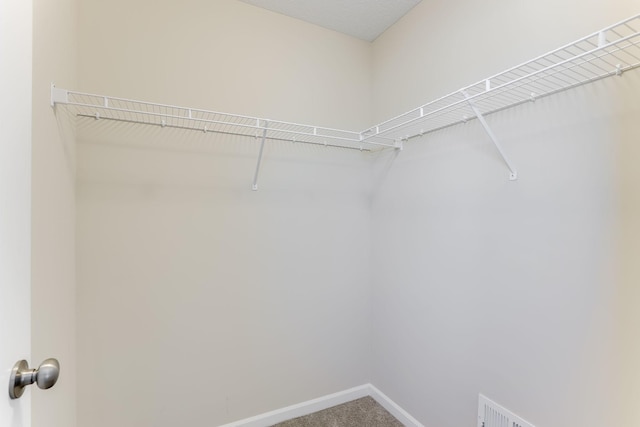 spacious closet featuring carpet flooring