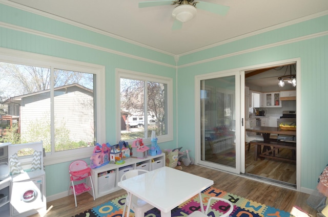 playroom featuring crown molding, plenty of natural light, wood finished floors, and ceiling fan