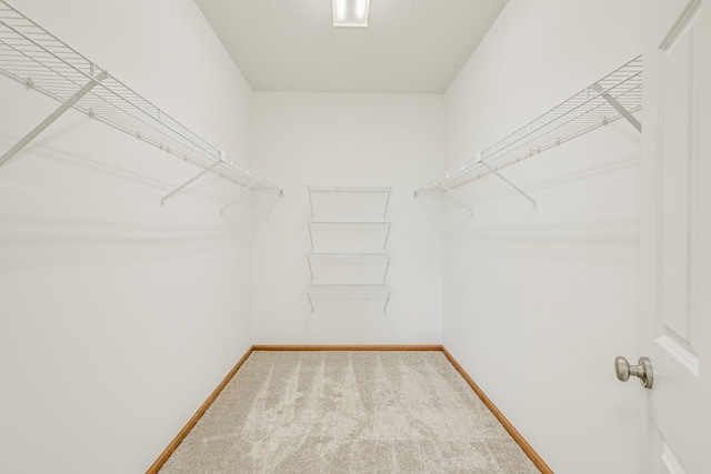 spacious closet featuring carpet flooring