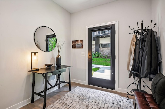 foyer entrance with dark wood-type flooring and a healthy amount of sunlight