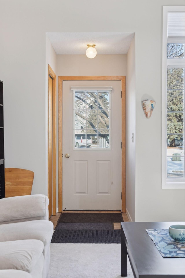 doorway featuring plenty of natural light