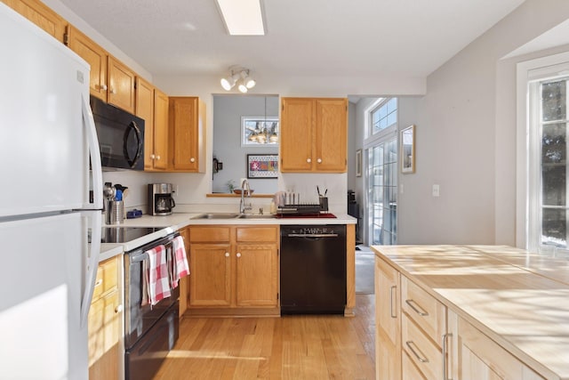 kitchen with sink, black appliances, and light hardwood / wood-style flooring