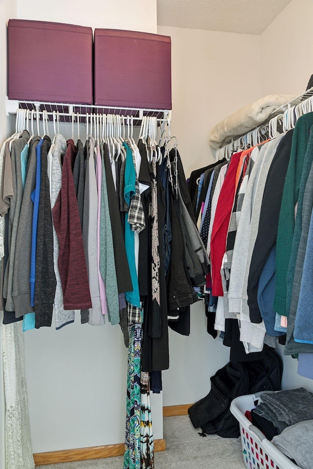 spacious closet featuring light carpet