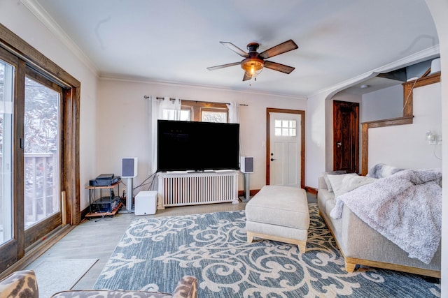 living room featuring ceiling fan, ornamental molding, and light wood-type flooring