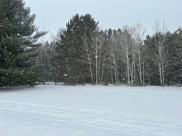 Listing photo 2 for LOT4 N Shore Dr, Iron River WI 54847