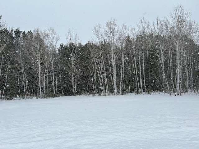 Listing photo 3 for LOT4 N Shore Dr, Iron River WI 54847