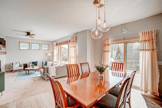 dining room featuring ceiling fan, light hardwood / wood-style flooring, and a textured ceiling