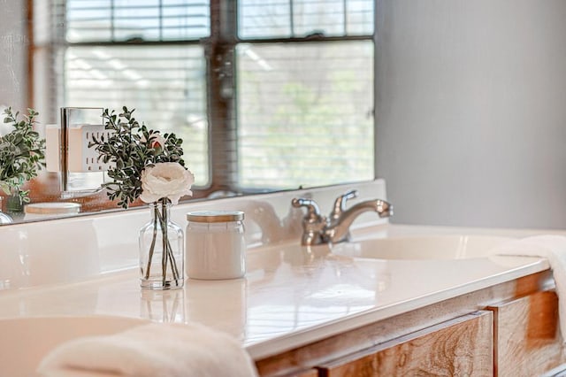 interior details featuring sink