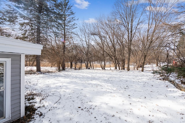 view of yard covered in snow