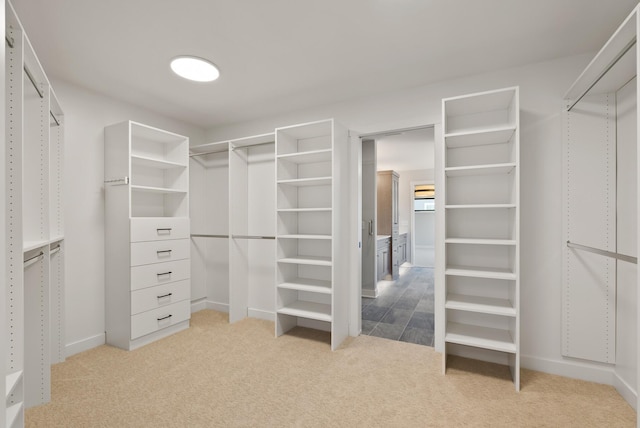 18436 56th Ct N, Plymouth, MN 55446 - spacious closet with light colored carpet